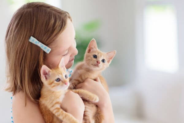 Cats-and-Children-Tips-for-a-Harmonious-and-Safe-Coexistence, I. Introducing Cats and Children, II. Educating Children about Cat Behavior, III. Supervision and Setting Boundaries, IV. Teaching Proper Handling Techniques, V. Teaching Respect for Personal Space, VI. Positive Reinforcement and Rewards, VII. Teaching Responsibility and Care, VIII. Safety Precautions